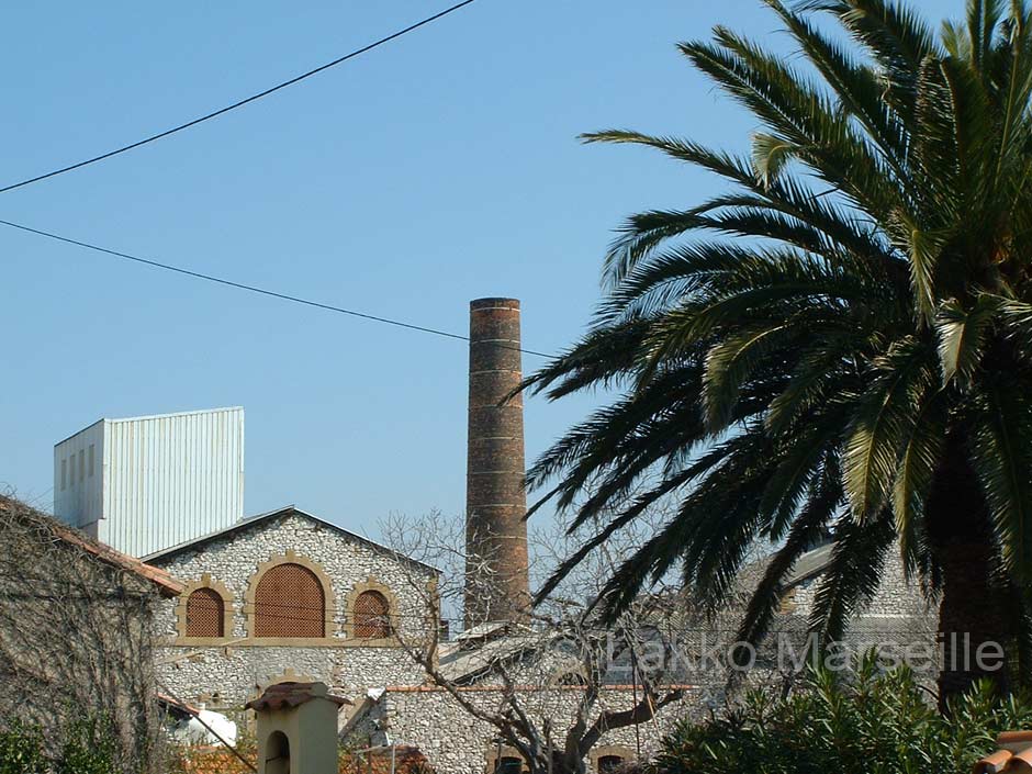 cheminée et palmier à la Madrague de Montredon