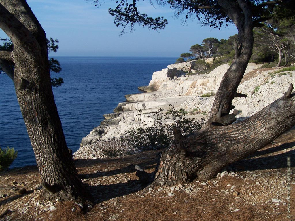 les rochers de la Cacau entre port Miou et Port Pin