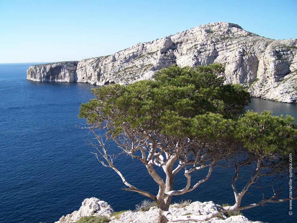 la calanque de Morgiou et le cap Morgiou