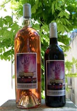 cuve festival des 5 continents