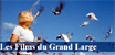 les films du grand large