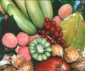 fruits  livrer