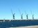grues dans le port