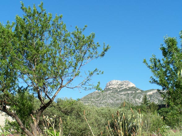 Le Garlaban vu depuis la route de Lascours
