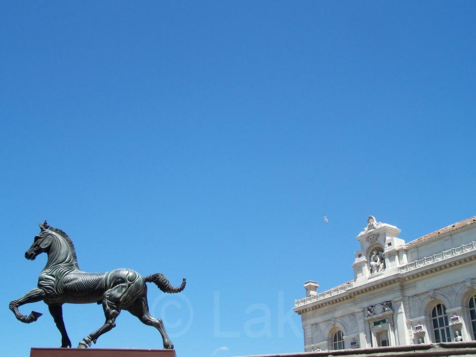Il Cavallo, d'aprs Leonardo da Vinci