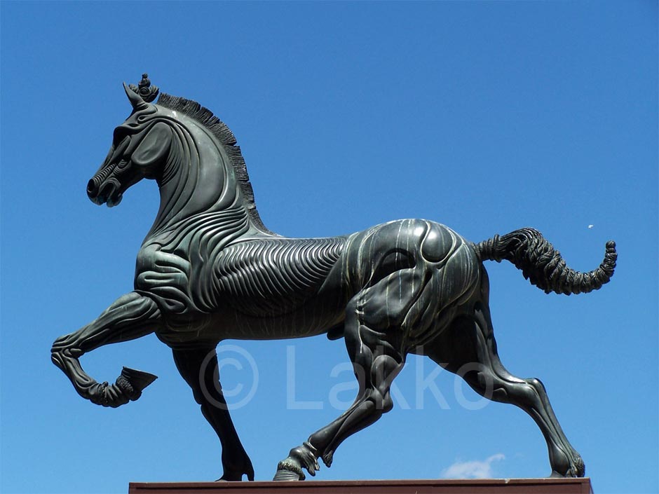 il cavallo
