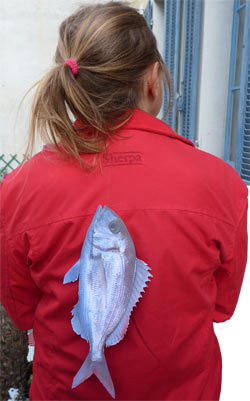 poisson d'avril