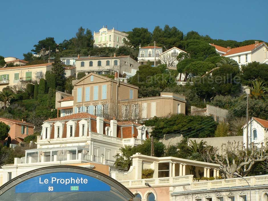 le roucas blanc au prophte
