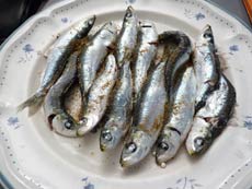 sardines au micro-ondes