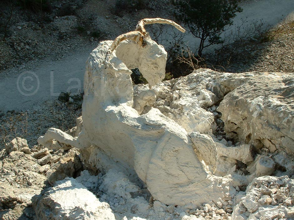 sculpture sauvage dans le vallon d'en Vau