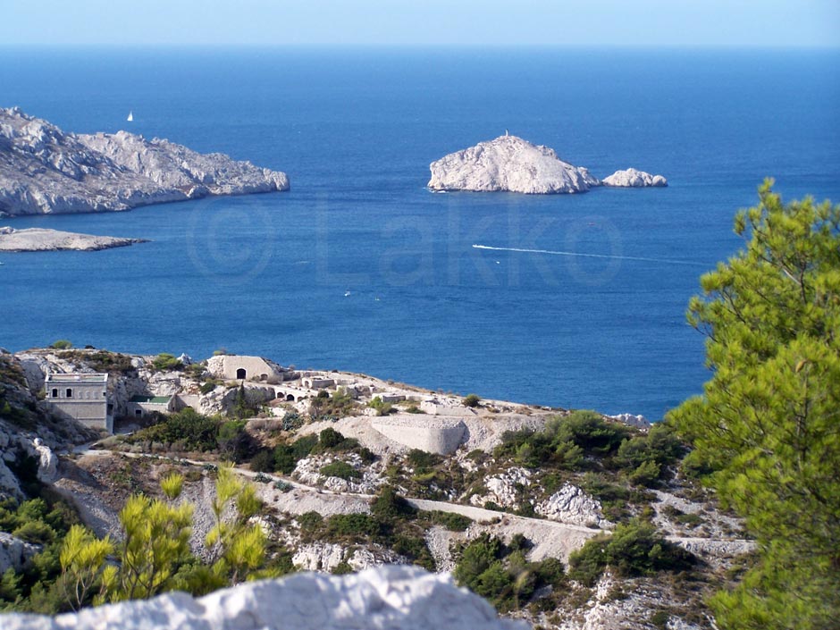 Tiboulen de Mare