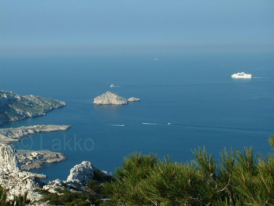 Tiboulen de Mare