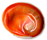 oeil de sainte lucie